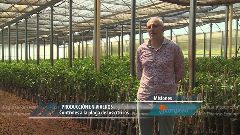 Soluciones Integrales para Viveros Industriales: Eficiencia y Sostenibilidad