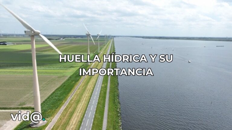 La clave de la sostenibilidad: Eficiencia h&iacute;drica en la industria