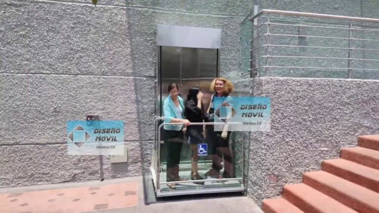 Ventajas de las Plataformas para Personas con Discapacidad