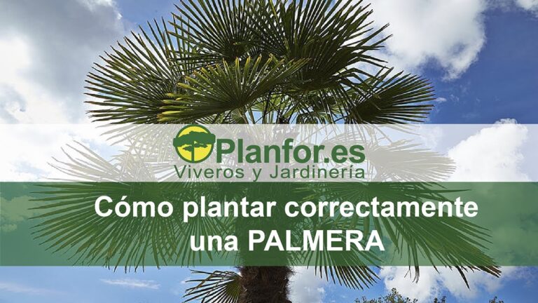 Cuidados y Mantenimiento Efectivo de Eslingas de Nylon