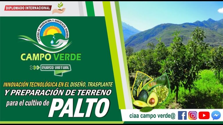 Innovaci&oacute;n en Productos para Viveros Org&aacute;nicos