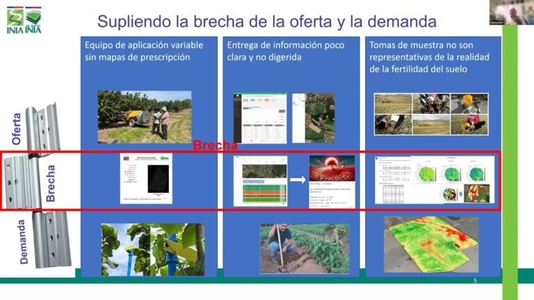Innovaci&oacute;n Tecnol&oacute;gica en Viveros Agr&iacute;colas