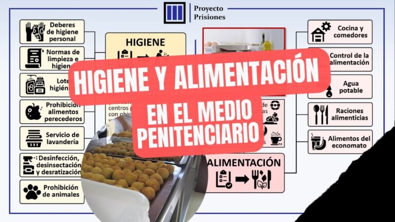 Desinsectaci&oacute;n y Limpieza Eficiente en Entornos Industriales