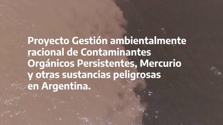 Gesti&oacute;n Eficiente de Productos Qu&iacute;micos Peligrosos