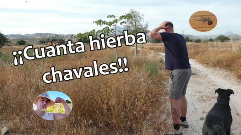 Optimizaci&oacute;n de Gr&uacute;as en Construcciones Altas