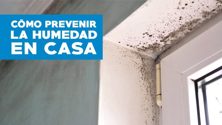 Prevenci&oacute;n Efectiva de Problemas de Humedad en Instalaciones