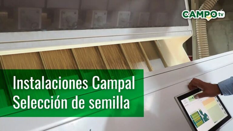 Gu&iacute;a para la Selecci&oacute;n de Semillas Certificadas en Cultivo