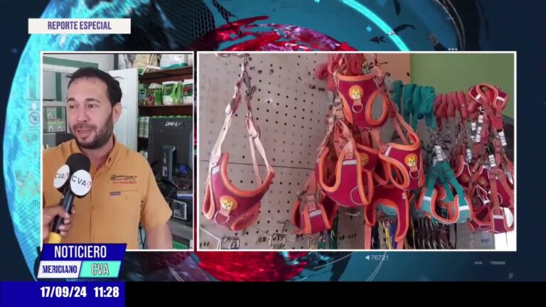 Semillas Certificadas y Productos Especializados: Calidad y Oportunidades Agr&iacute;colas