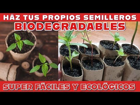 Beneficios de las Macetas Biodegradables para el Cuidado del Medio Ambiente