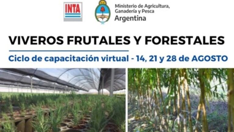 Implementos Esenciales para el Desarrollo de Plantas en Viveros Industriales