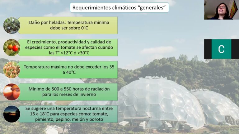 Innovaciones en Tecnolog&iacute;a para el Control Clim&aacute;tico en Viveros