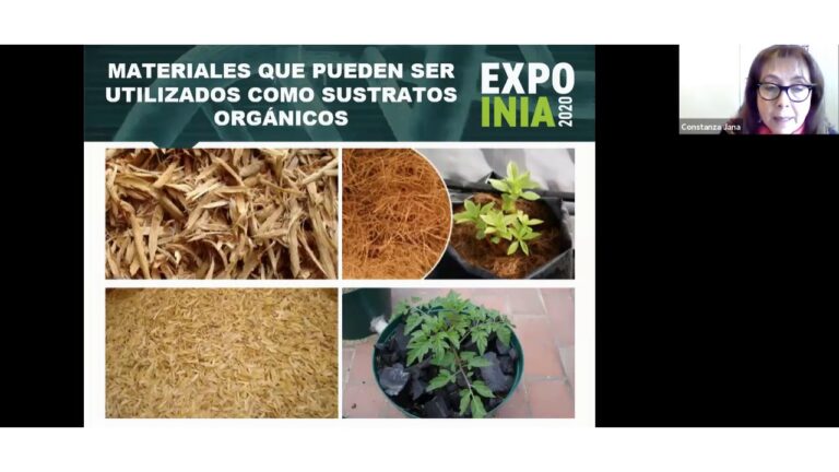 Innovaciones para el Desarrollo Sostenible en Viveros