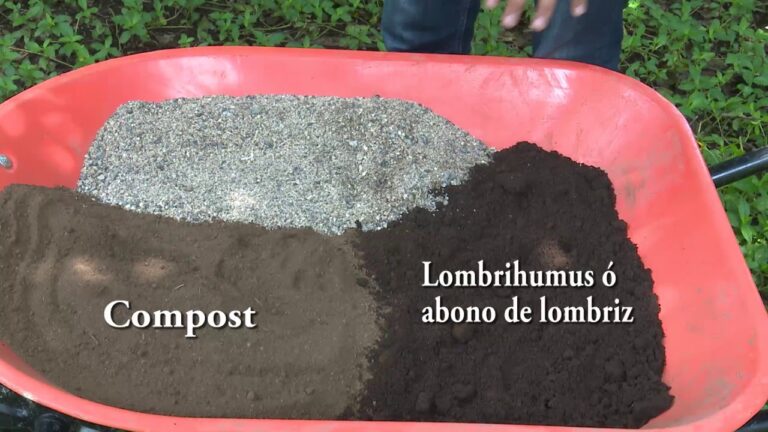 Mejora del Desarrollo Micorr&iacute;zico en Plantas: Productos Efectivos