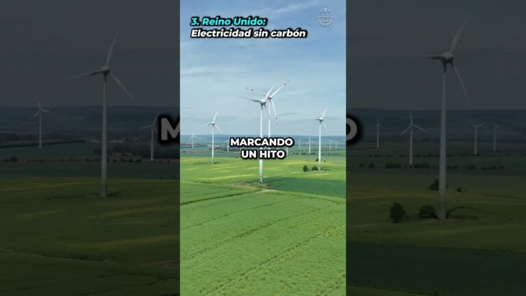 Innovaciones Revolucionarias en Gr&uacute;as Plataforma