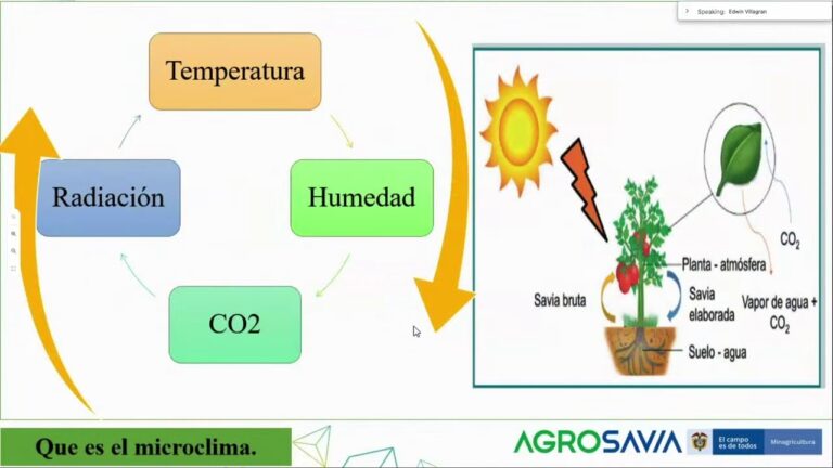 Avances en Control Clim&aacute;tico para Viveros: Innovaciones y Beneficios